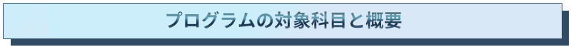 プログラムの対象科目と概要